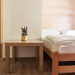 Vucja Gora Kemping