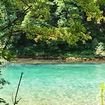 Vucja Gora Foca