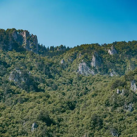 Vucja Gora Campsite Foca