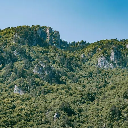 Campsite Vucja Gora