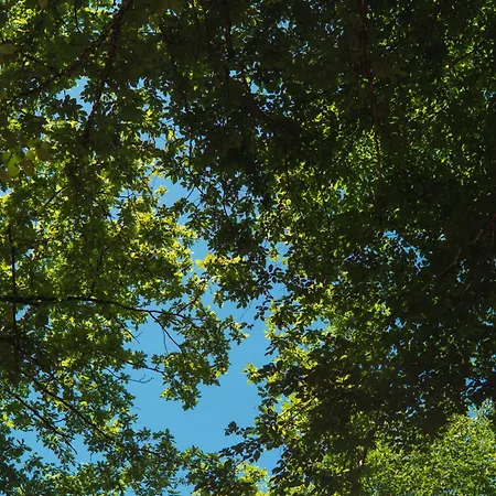 Camping Vucja Gora Foca