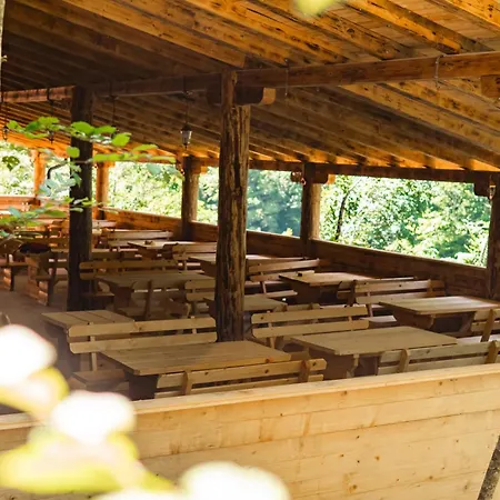 Campsite Vucja Gora